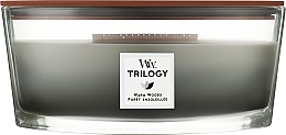 Scented Candle in Glass - Woodwick Hearthwick Flame Ellipse Trilogy Candle Warm Woods — photo N8