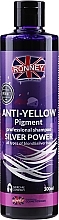 Hair Shampoo - Ronney Professional Anti-Yellow Pigment Silver Power Shampoo — photo N2