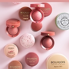 Blush - Bourjois Little Round Pot Blusher — photo N12