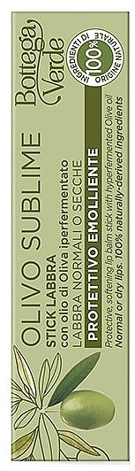 Olive Lip Balm Stick - Bottega Verde Olivo Sublime Lip Balm Stick  — photo N2