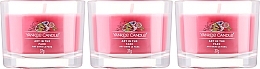 Set - Yankee Candle Singnature Art in the Park (3xcandle/37g) — photo N2