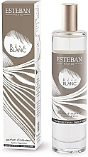 Esteban Reve Blanc - Scented Home Spray — photo N1