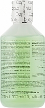 Refreshing Therapeutic Shampoo for Oily Scalp - Eva Professional Capilo Ekilibrium Shampoo №08 — photo N7