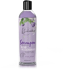 Fragrances, Perfumes, Cosmetics Forest Blackberry Shampoo for Blonde & Bleached Hair - Sielanka