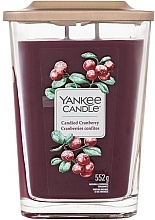 Scented Candle in Glass, two wicks - Yankee Candle Elevation Candied Cranberry — photo N1