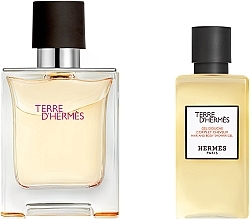 Hermes Terre d'Hermes - Set (edt/50ml + sh/gel/40ml) — photo N2