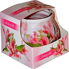 Fragrances, Perfumes, Cosmetics Candle in Glass Cover - Admit Candle In Glass Cover Amaryllis
