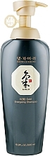 Anti Hair Loss Shampoo - Daeng Gi Meo Ri Energizing Shampoo — photo N2