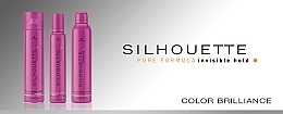 Hair Spray for Color-Treated Hair - Schwarzkopf Professional Silhouette Color Brilliance Hairspray  — photo N5