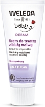 Fragrances, Perfumes, Cosmetics Althaea Face Cream for Hypersensitive Skin - Weleda Weisse Malve Gesichtscreme