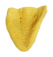 Bath Sponge 'Elephant Ear', 7.62 cm - Hydrea London The Natural Sea Sponge Medium — photo N2