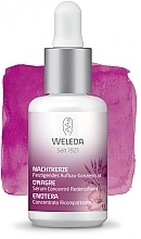 Moisturizing Concentrate - Weleda Evening Primrose Age Revitalising Concentrate — photo N2