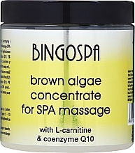 Fragrances, Perfumes, Cosmetics Brown Algae Concentrate with Coenzyme Q10 - BingoSpa Concentrate Brown Algae