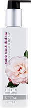 Fragrances, Perfumes, Cosmetics Hand and Body Lotion "Turkish Rose and Black Tea" - Kinetics Turkish Rose & Black Tea Lotion