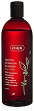 Anti-Dandruff Shampoo "Nettle" - Ziaja Shampoo  — photo N1