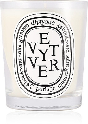 Diptyque Vetyverio - Scented Candle  — photo N1