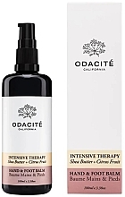 Fragrances, Perfumes, Cosmetics Intensive Hand & Foot Cream - Odacite Intensive Therapy Hand & Foot Balm