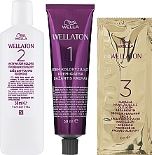 Hair Cream Colour with Argan Oil - Wella Wellaton Intense — photo N31