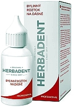 Herbal Gum Care Solution - Herbadent Professional Herbal Gum Solution — photo N1