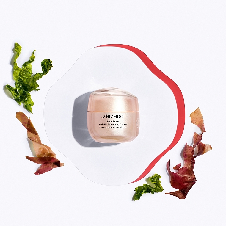 Nourishing Anti-Wrinkle Face Cream - Shiseido Benefiance Wrinkle Smoothing Cream Enriched — photo N4