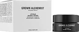 Lip Balm - Grown Alchemist Lip Balm Antioxidant+3 Complex — photo N2