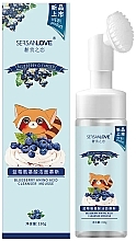 Cleansing Foam with Blueberry Extract - Sersanlove Blueberry Amino Acid Cleanser Mousse — photo N1