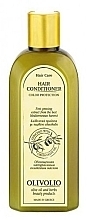 Fragrances, Perfumes, Cosmetics Color-Treated Hair Conditioner - Olivolio Hair Conditioner Color Protection