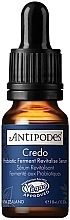 Revitalizing Face Serum with Probiotics - Antipodes Credo Probiotic Ferment Revitalise Serum (mini size) — photo N1