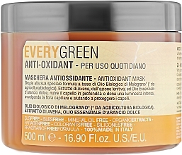 Antioxidant Mask - EveryGreen Antioxidant Hair Mask — photo N6