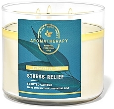 Fragrances, Perfumes, Cosmetics 3-Wick Scented Candle - Bath and Body Works Aromatherapy Eucalyptus Tea Scented Candle