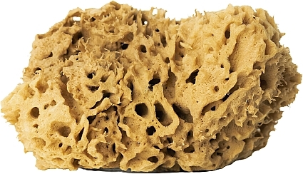 Natural Sponge, brown, 17,5 cm - Hhuumm 02H Natural Sponge — photo N6