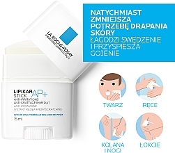 Soothing & Repairing Instant Treatment - La Roche-Posay Lipikar Stick AP+ — photo N6