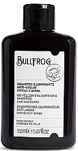 Shampoo for Grey Hair - Bullfrog No-Yellow Enlightening Shampoo — photo N1