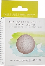 Sponge - The Konjac Sponge Company Premium Facial Puff Pure White — photo N2