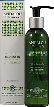 Fragrances, Perfumes, Cosmetics Cleansing Gel - Andalou Naturals Cleansing Gel