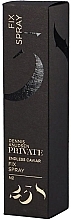 Hair Spray - Dennis Knudsen Private 238 Endless Caviar Fix Spray — photo N8