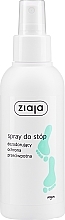 Fragrances, Perfumes, Cosmetics Anti Fungus Deodorant Foot Spray - Ziaja Foot Spray