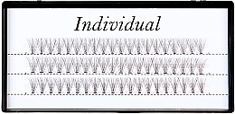 False Lash Set, 10D 0.07C 10mm - Individual — photo N1