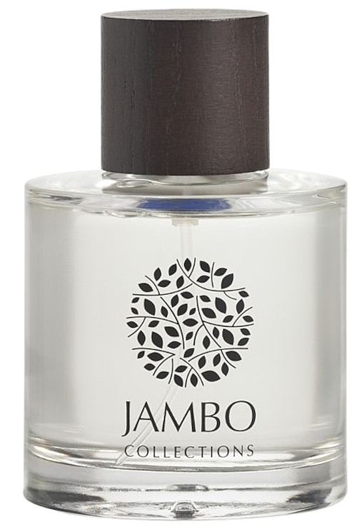 Iguazu Home Fragrance Spray - Jambo Collections Elegant Collection Home Spray Iguazu — photo N1