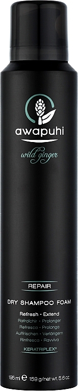 Dry Shampoo Foam - Paul Mitchell Awapuhi Wild Ginger Dry Shampoo Foam — photo N1