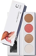 Fragrances, Perfumes, Cosmetics 4-in-1 Face Palette - Couleur Caramel