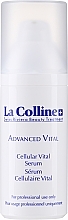 Fragrances, Perfumes, Cosmetics Face Serum - La Colline Advanced Cellular Vital Serum