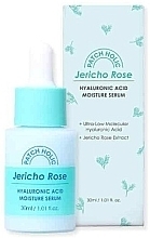 Fragrances, Perfumes, Cosmetics Moisturizing Face Serum - Patch Holic Jerico Rose Hyaluronic Acid Moisture Serum