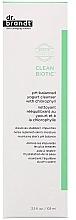 Yogurt Chlorophyll Cleansing Cream - Dr. Brandt Clean Biotic Cream — photo N9