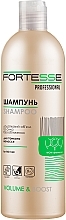 Volume Hair Shampoo - Fortesse Professional Volume & Boost Shampoo For Thin Hair — photo N1