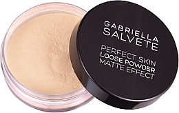 Face Loose Powder - Gabriella Salvete Perfect Skin Loose Powder Puder — photo N12