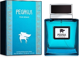 Flavia Pegasus Pour Homme - Eau de Parfum — photo N2