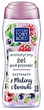 Shower Gel with Raspberry & Blueberry Extracts - Cztery Pory Roku — photo N3