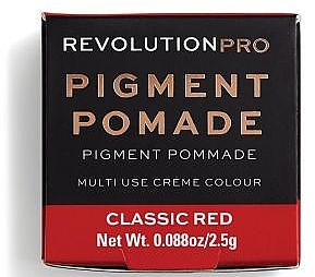 Pigmented Lipstick - Revolution Pro Pigment Pomade — photo N1