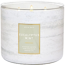 Fragrances, Perfumes, Cosmetics Bath and Body Works Eucalyptus Mint - Scented Candle